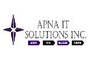 APNA IT Solutions Inc company logo